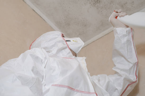 Best Industrial Mold Remediation in Huntington Park, CA