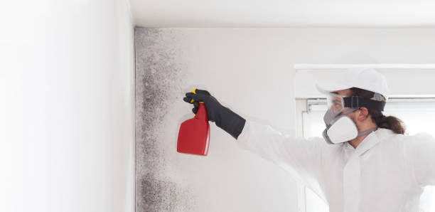 Best Mold Remediation for Specific Building Types in Huntington Park, CA